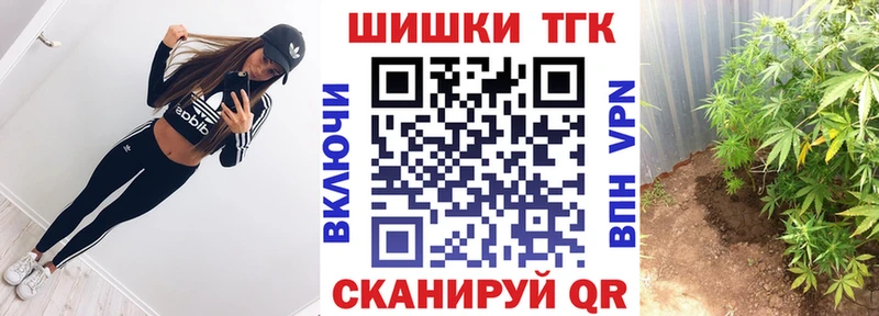 Каннабис сатива  Зубцов 